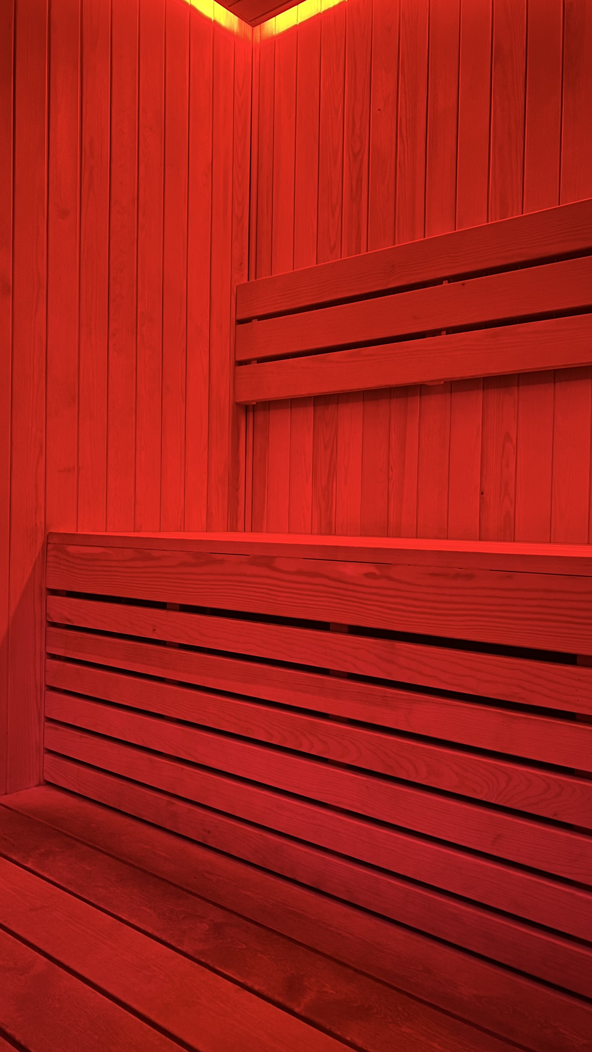 Sauna seca